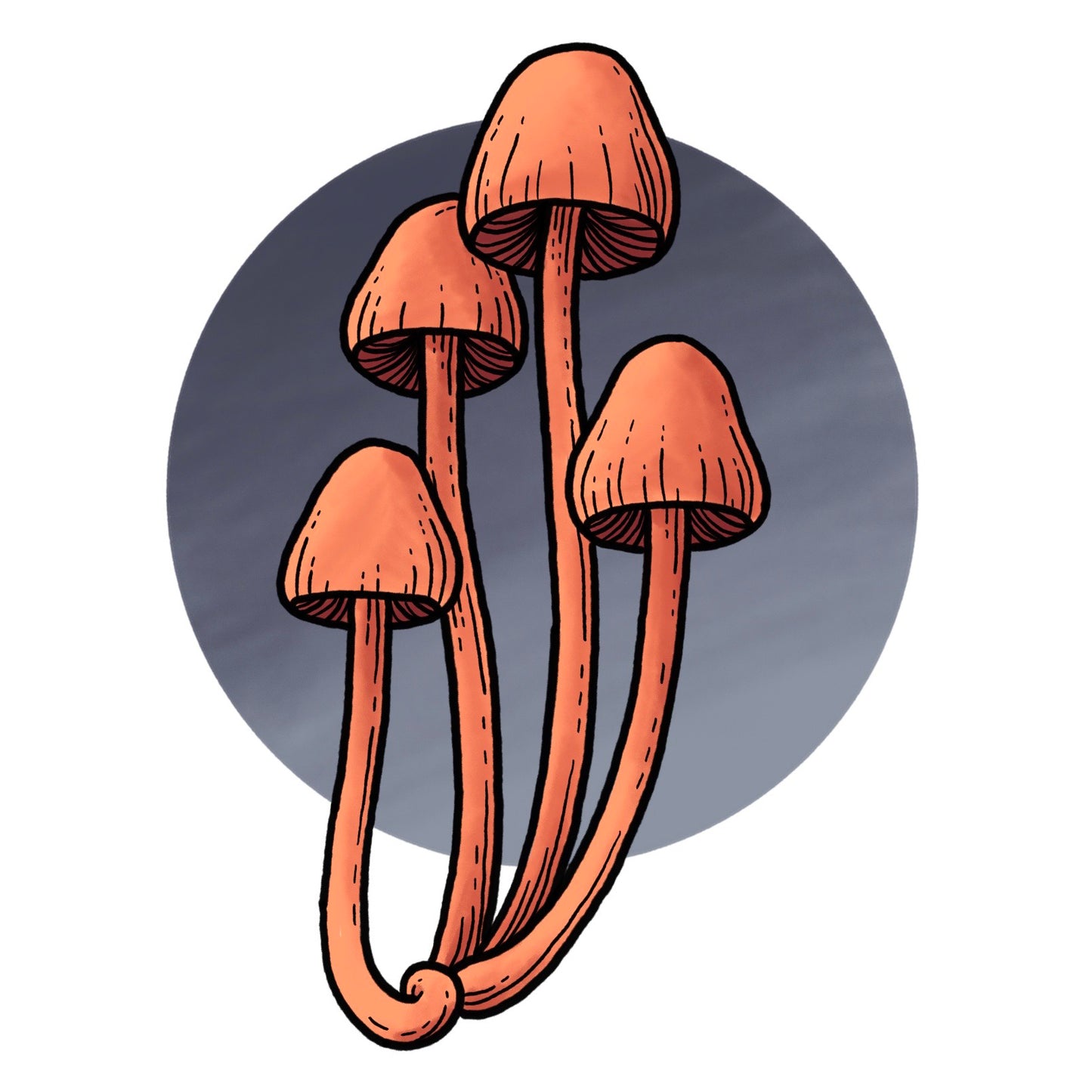 Mushroom 9