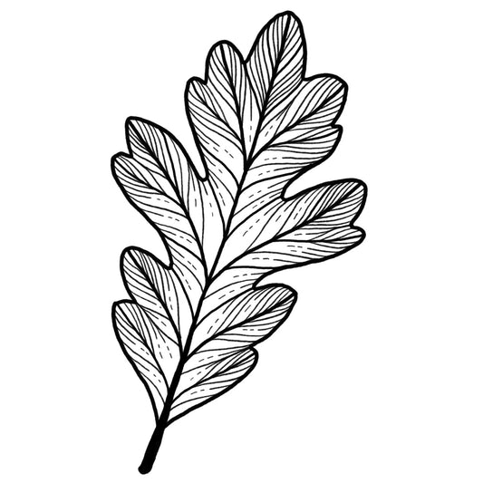 Oak Leaf