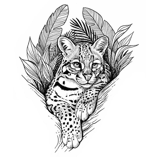Ocelot