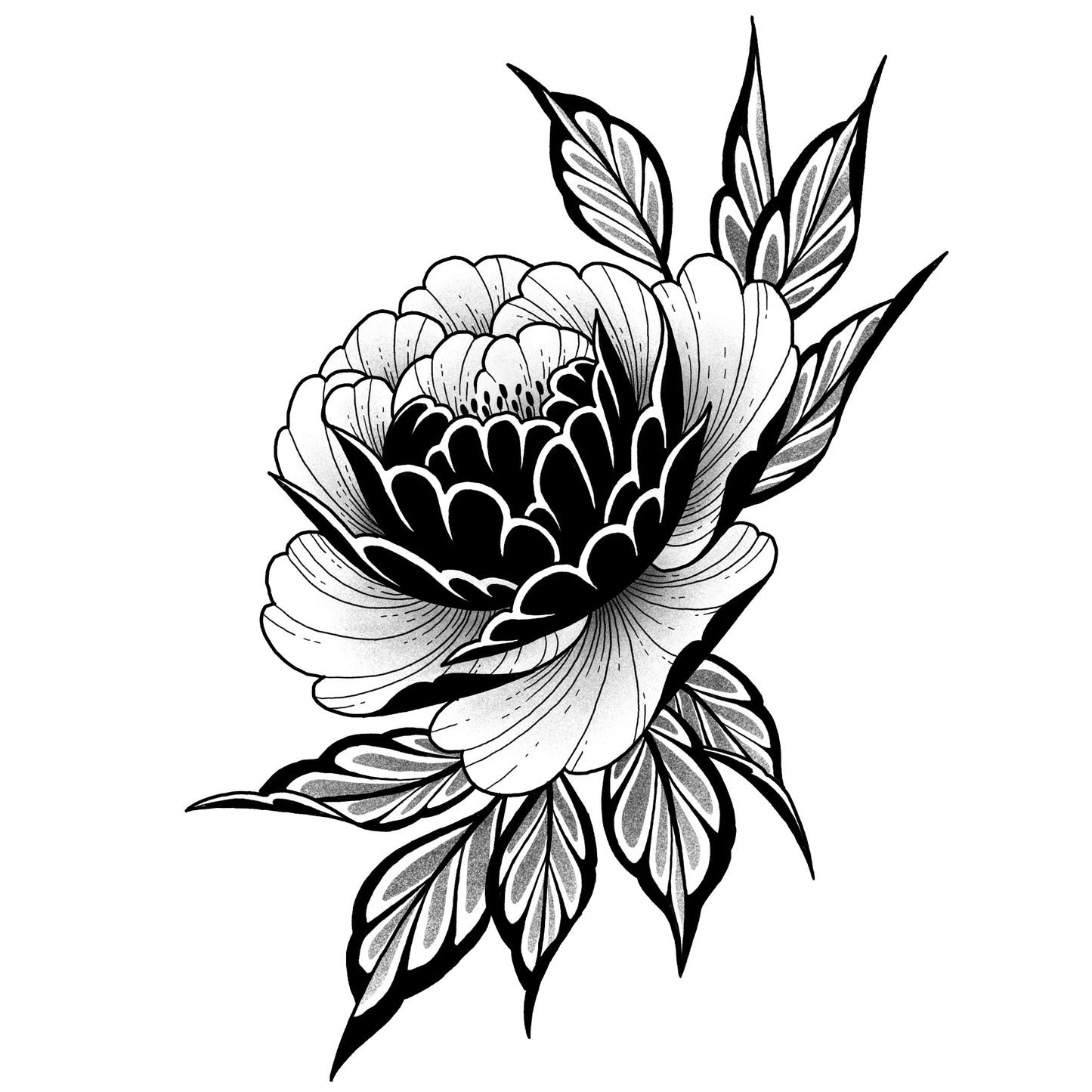 Peony 17