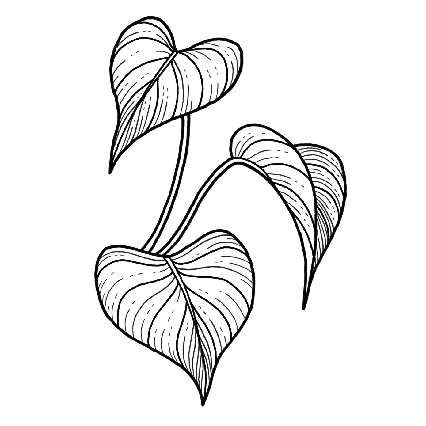 pothos leaf tattoo Pothos – Lizzy Dalton Tattoo