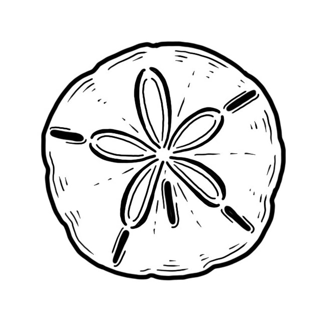 Sand Dollar – Lizzy Dalton Tattoo sand-dollar-lizzy-dalton-tattoo
