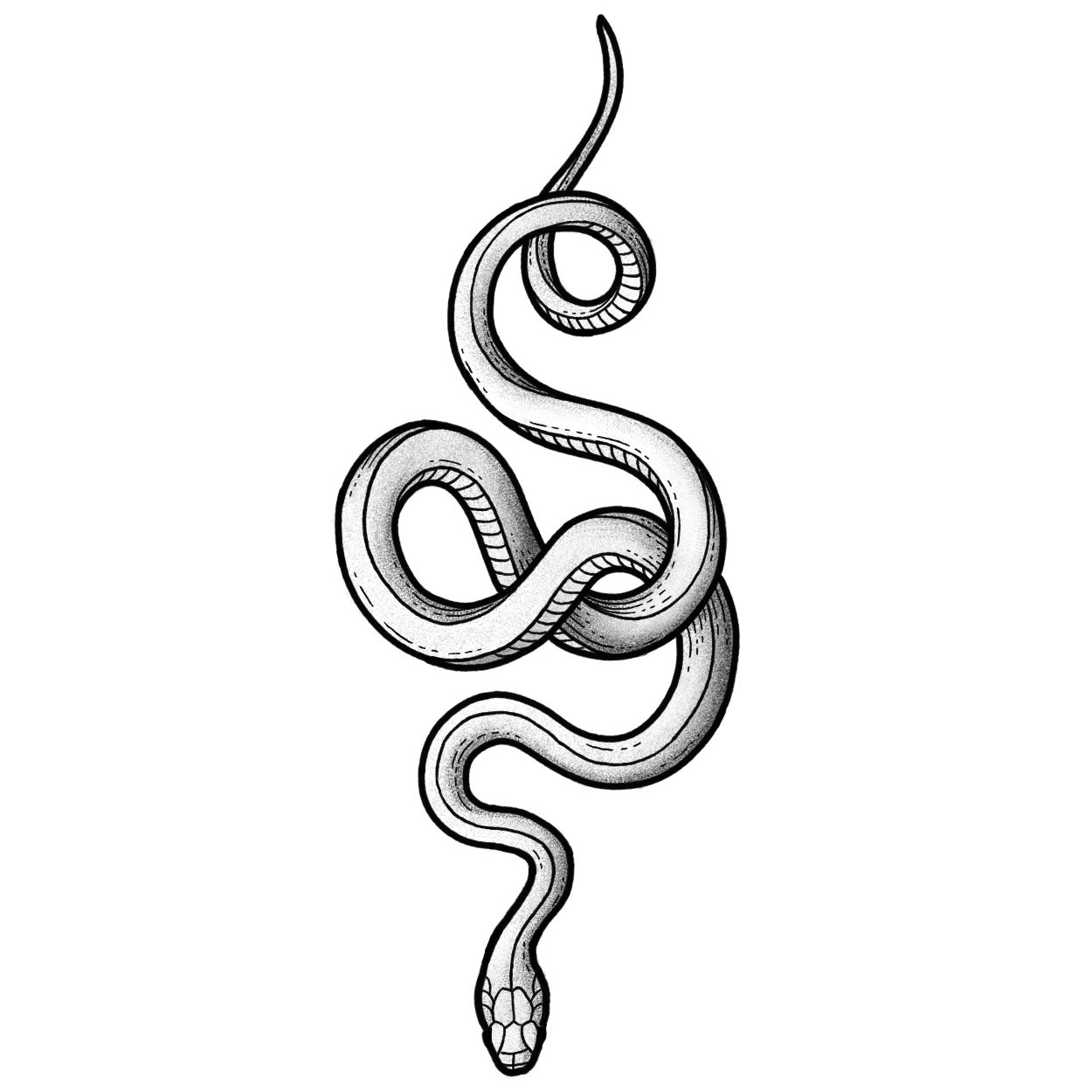Snake 3 Black and Grey Lizzy Dalton Tattoo