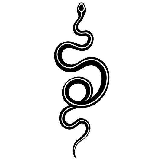 Snake 5