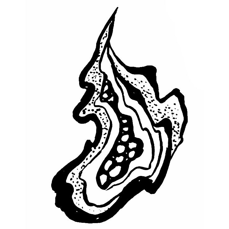 Squiggly 11