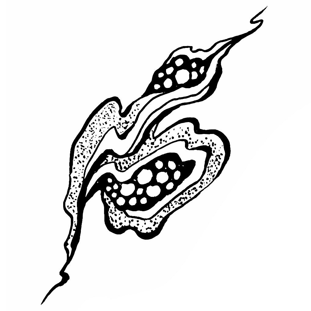 Squiggly 2