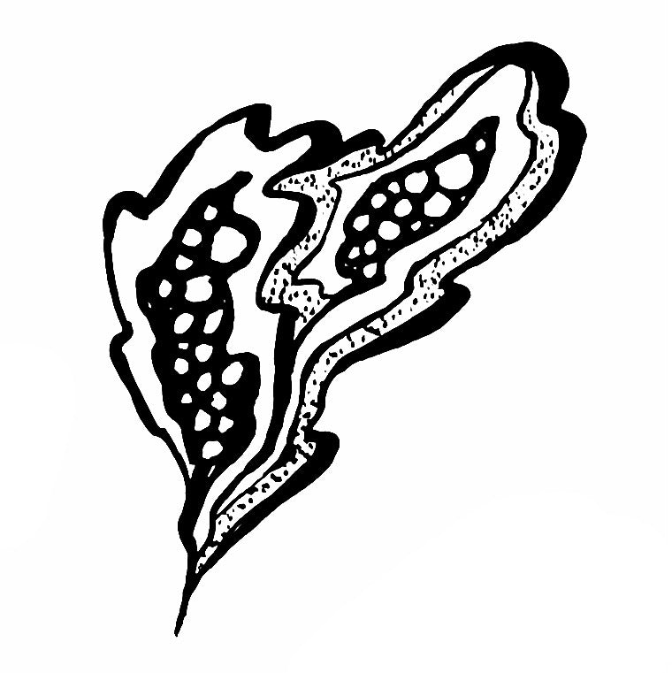 Squiggly 5