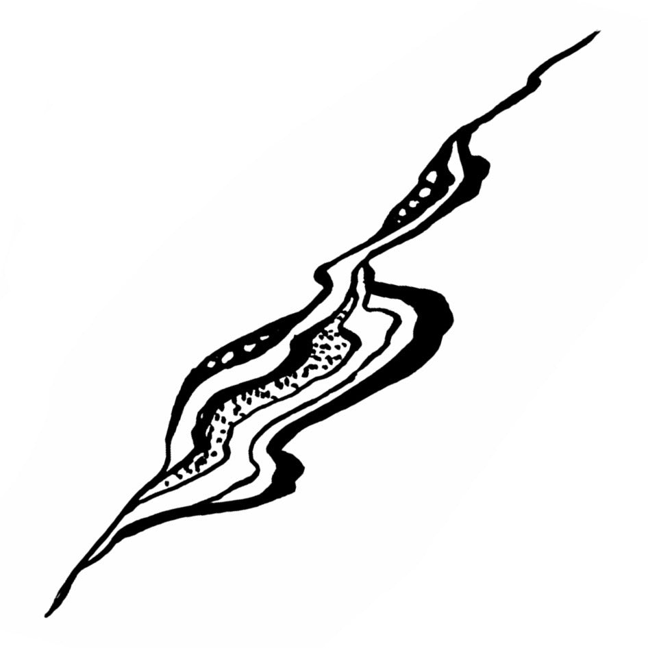 Squiggly 8