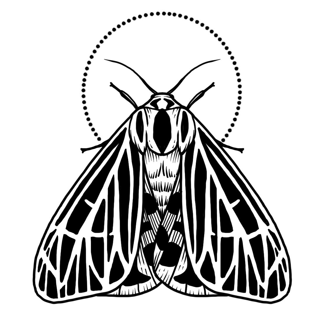 Tiger Moth