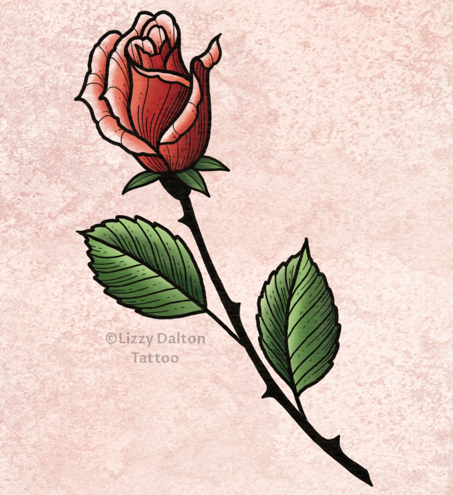 Rose 8 - Color