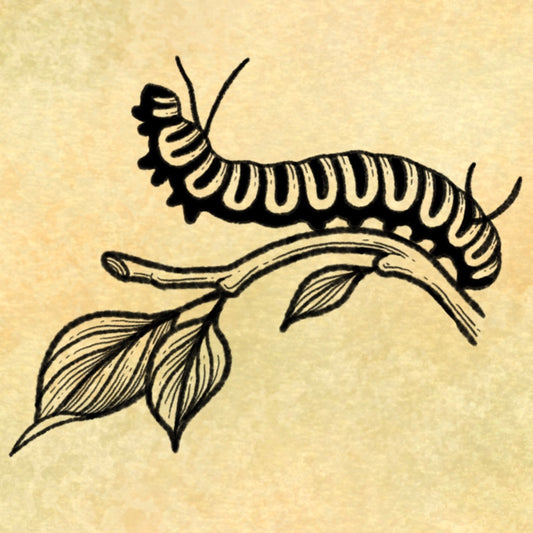 Caterpillar