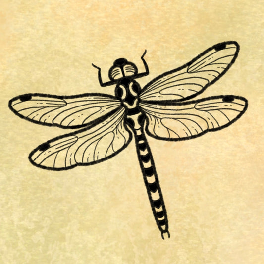 Dragonfly