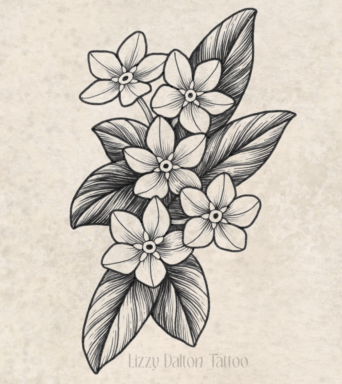Forget-Me-Not