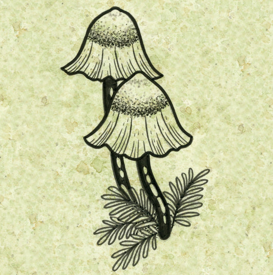 Mycena