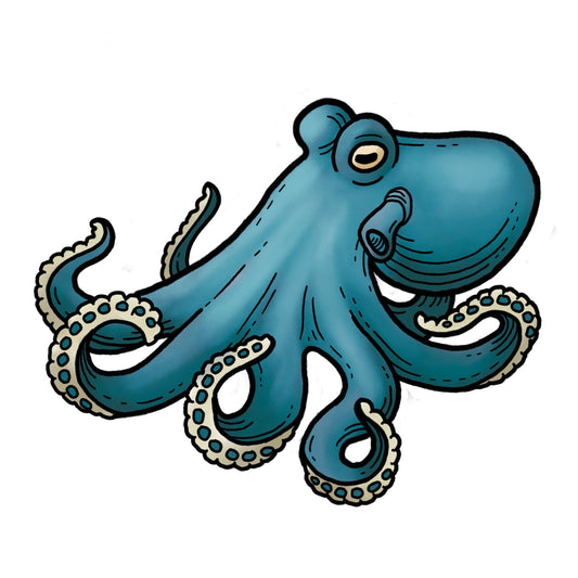 Octopus - Color