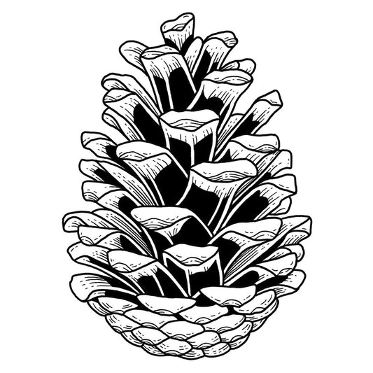 Pine Cone