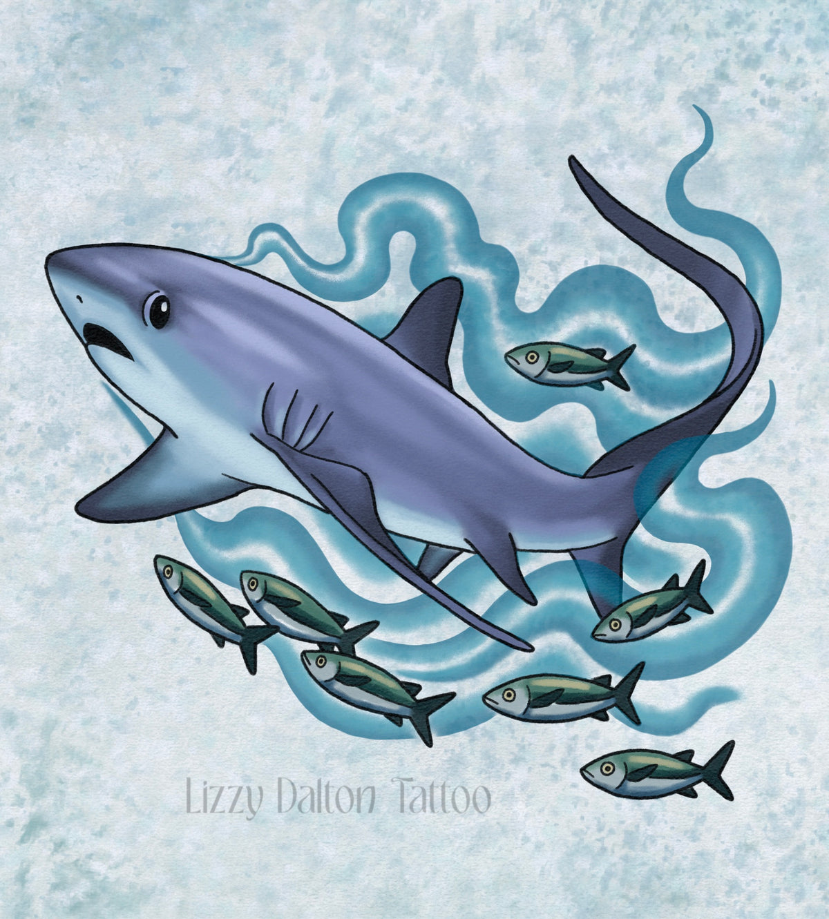 Thresher Shark - Color