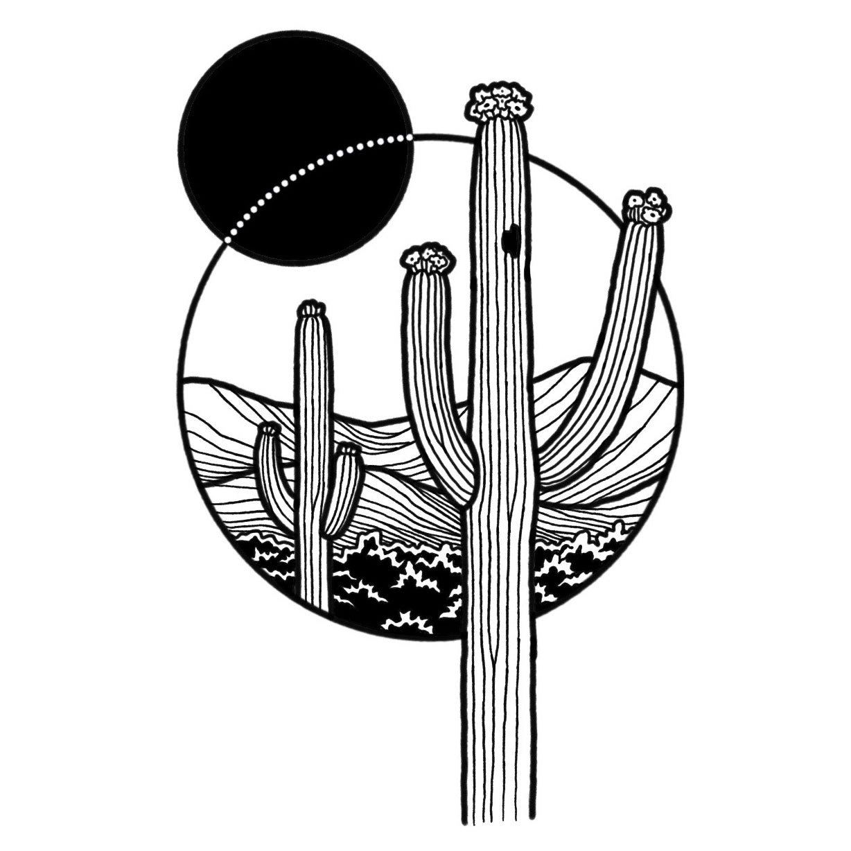 Saguaro 2