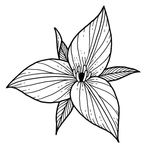 Trillium