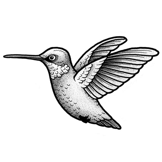 Hummingbird - Black and Grey
