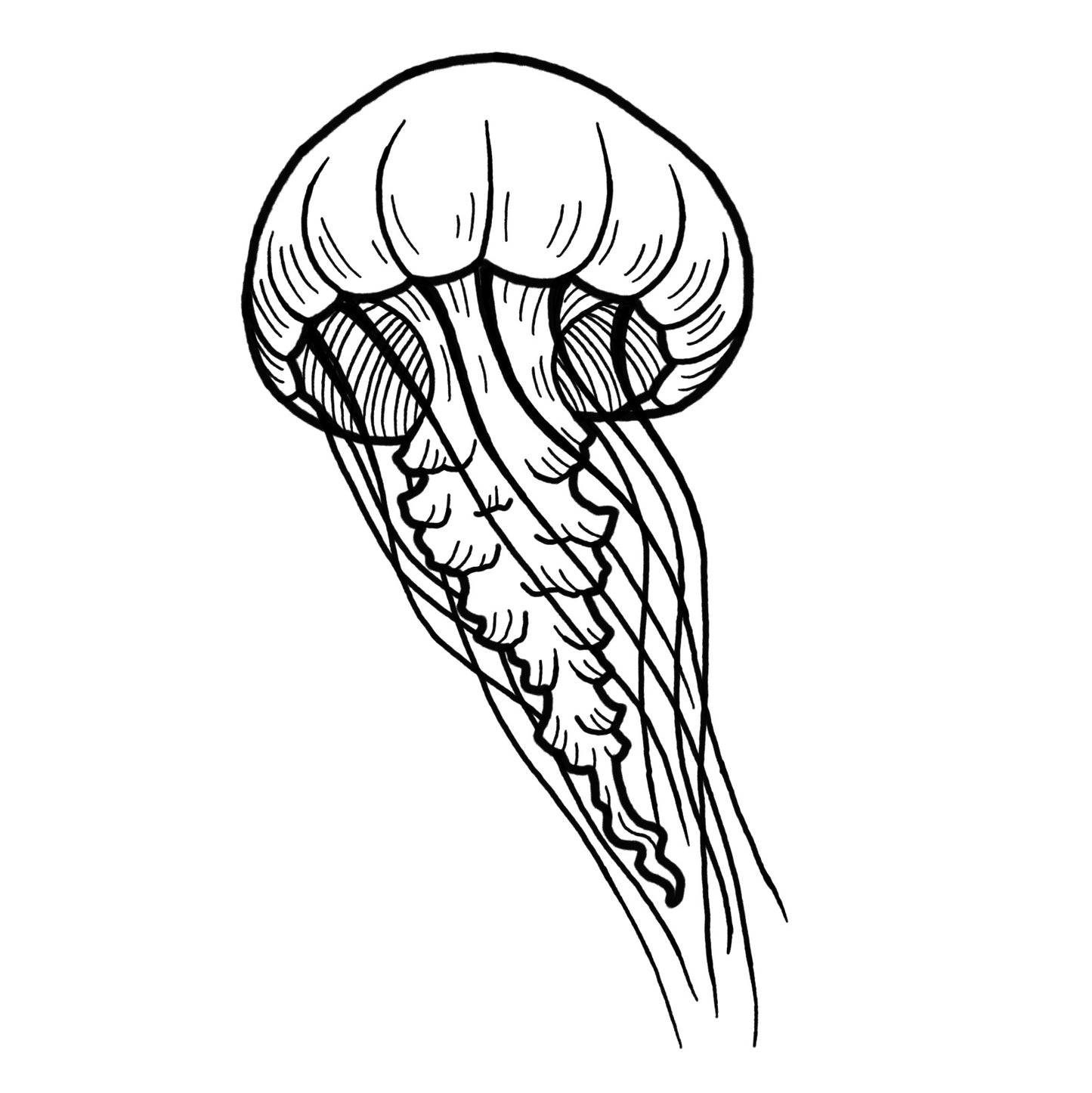 Jellyfish - Blackwork