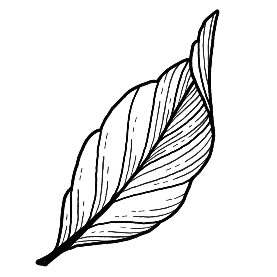 Leaf 3