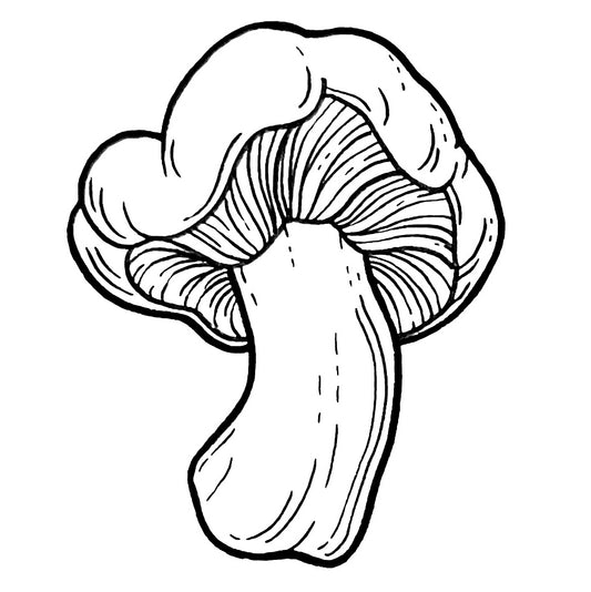 Mushroom 5
