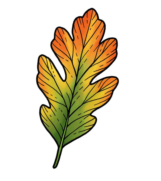 Oak Leaf 1 - Color