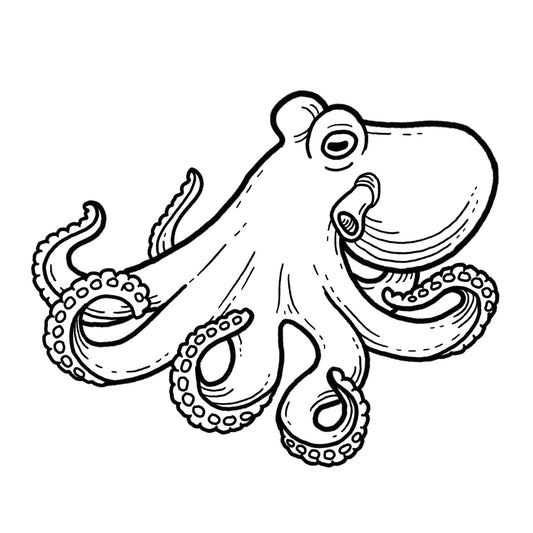 Octopus - Blackwork