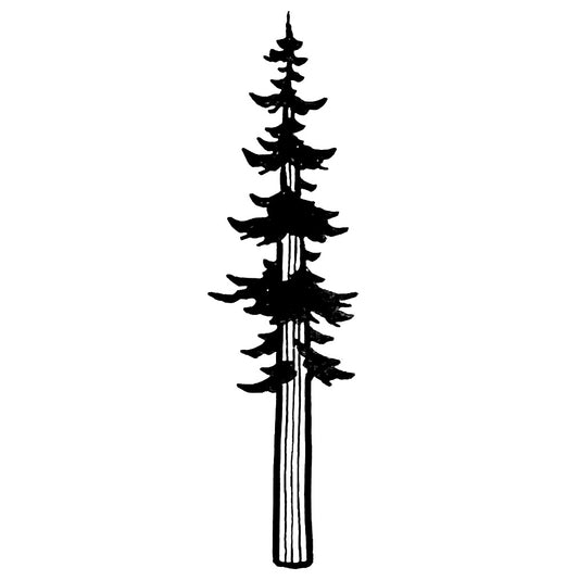 Pine Tree
