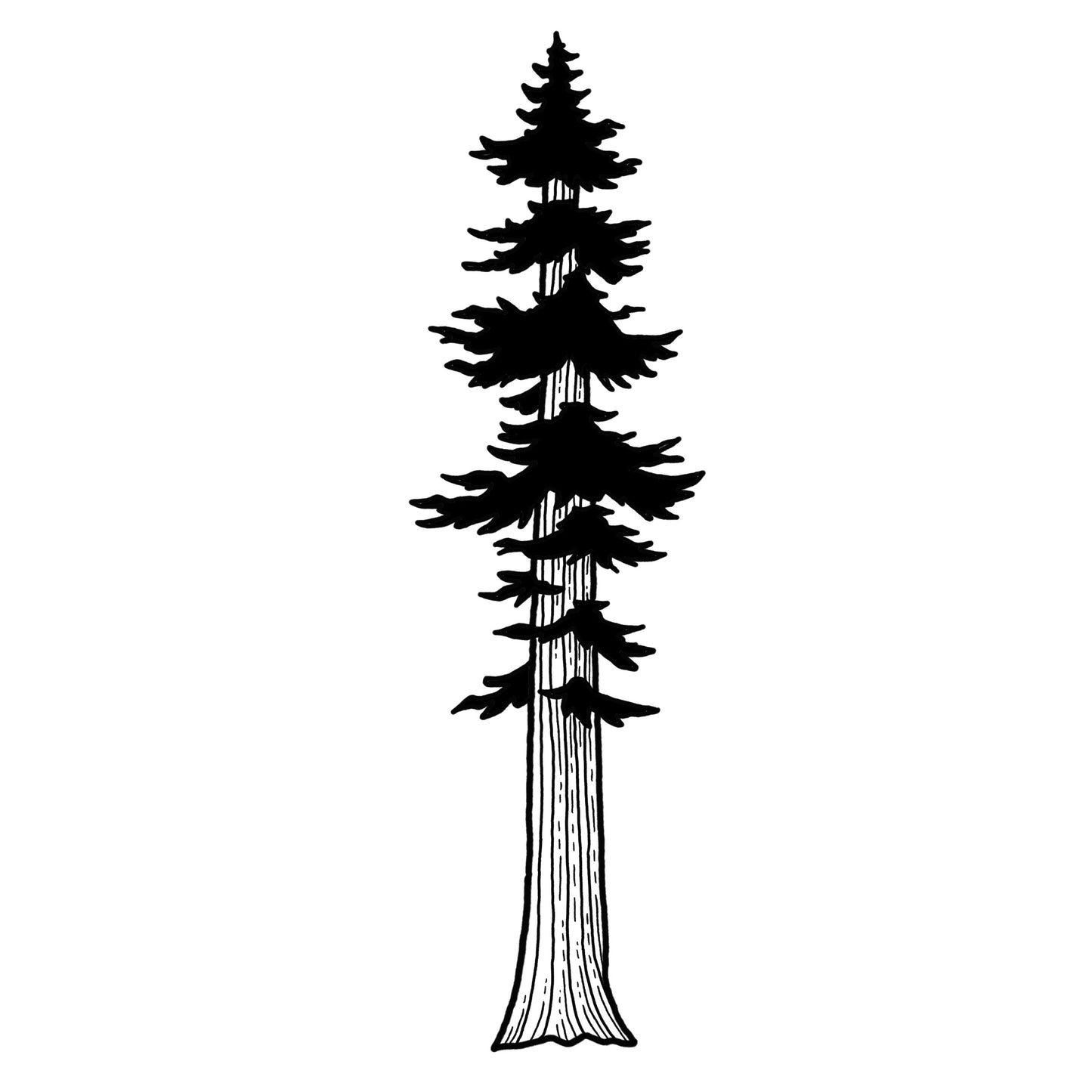 Pine Tree 2