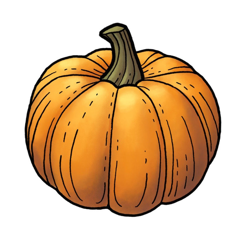 Pumpkin - Color