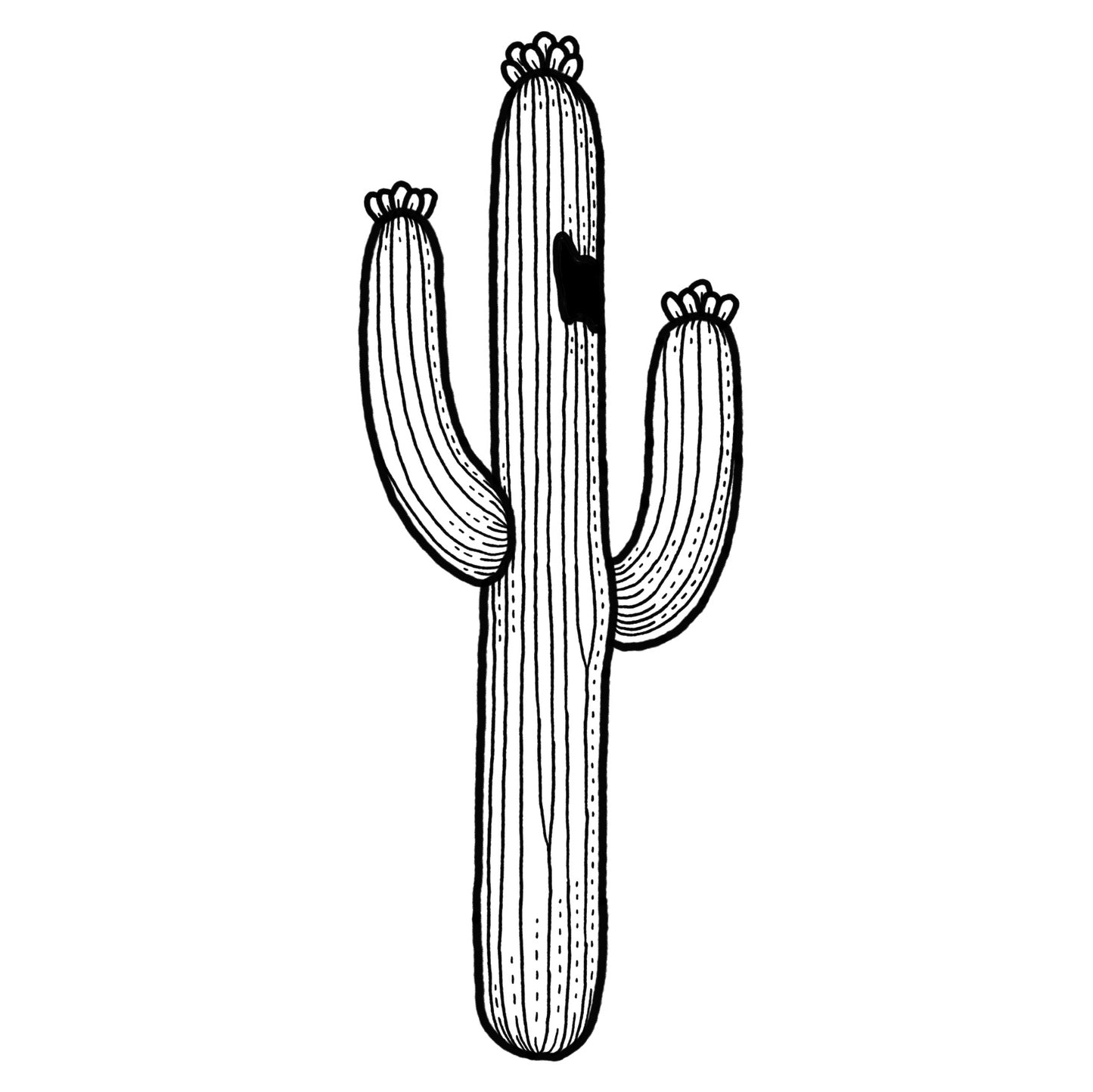 Saguaro 1