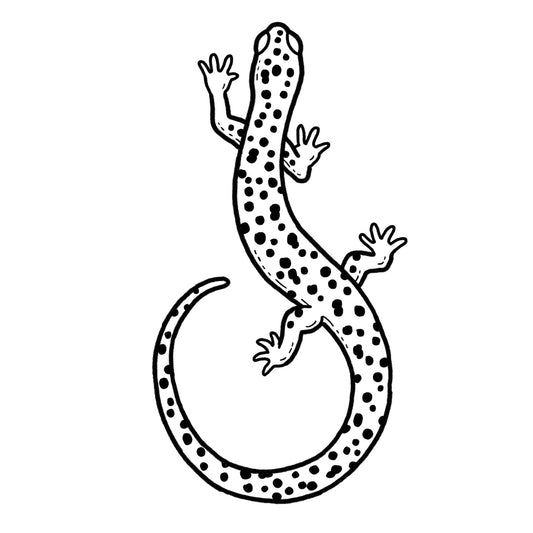 Salamander - Blackwork