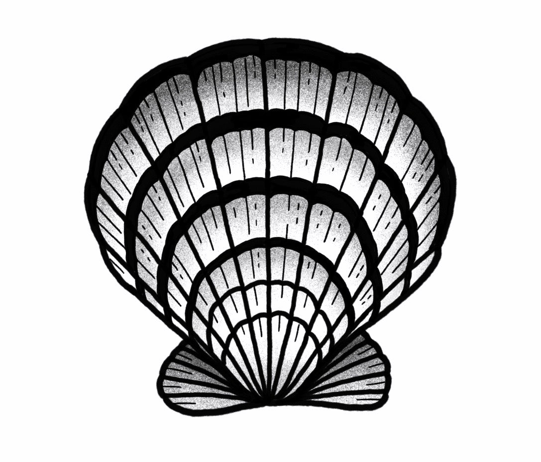 Scallop Shell - Black and Grey