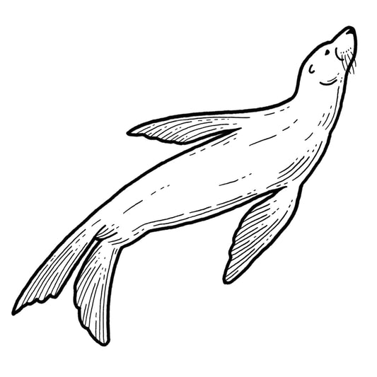 Sea Lion