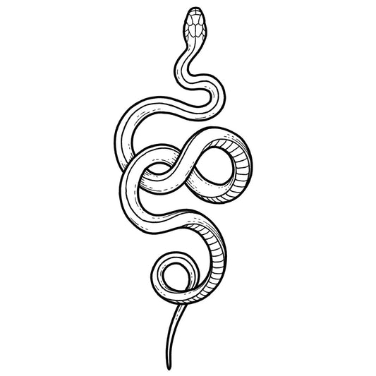 Snake 2 - Blackwork