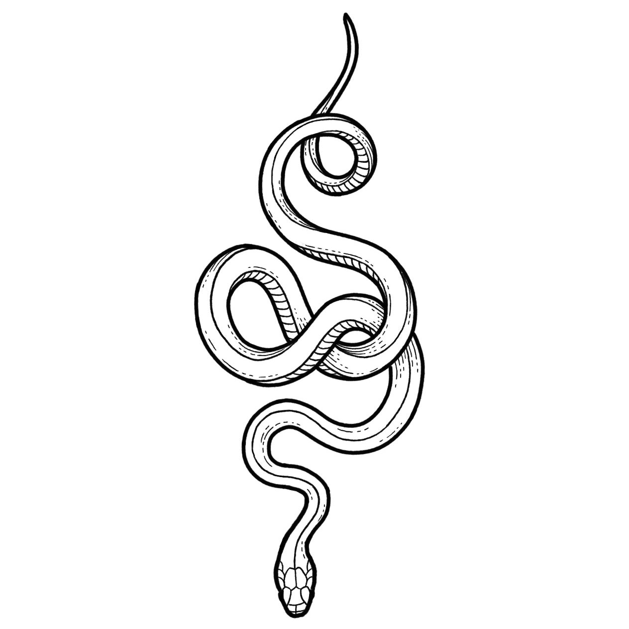 Snake 3 - Blackwork