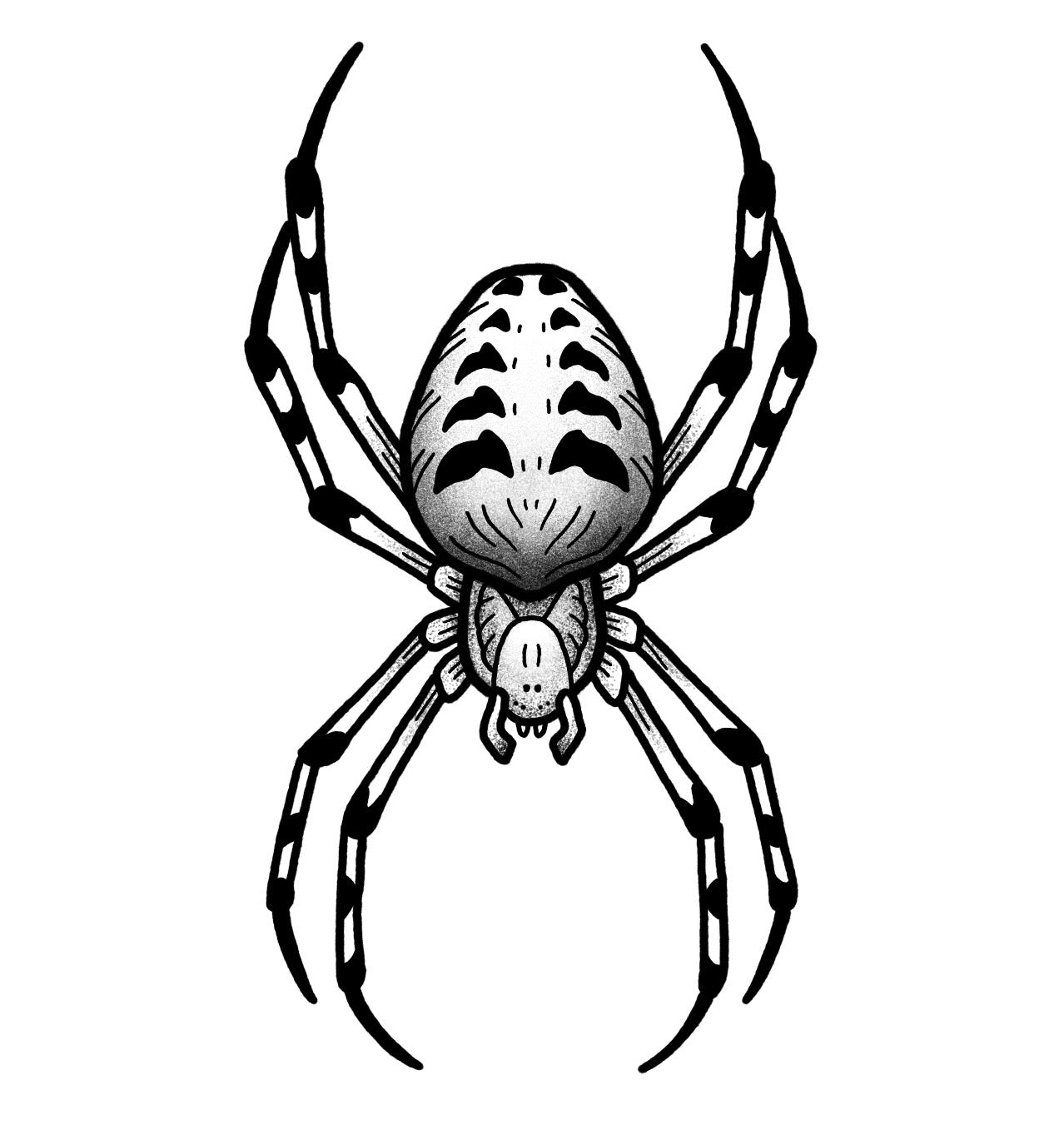 Spider - Black and Grey